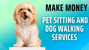 Pet Sitting and Dog Walking